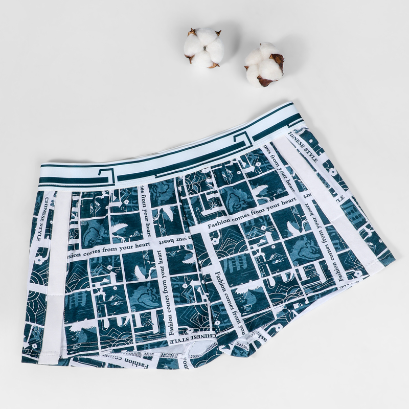 メンズ下着、メンズ用、純綿、ゆったりとしたシルエット、通気性 - Boxer Brief Pack Cotton のレビューと価格